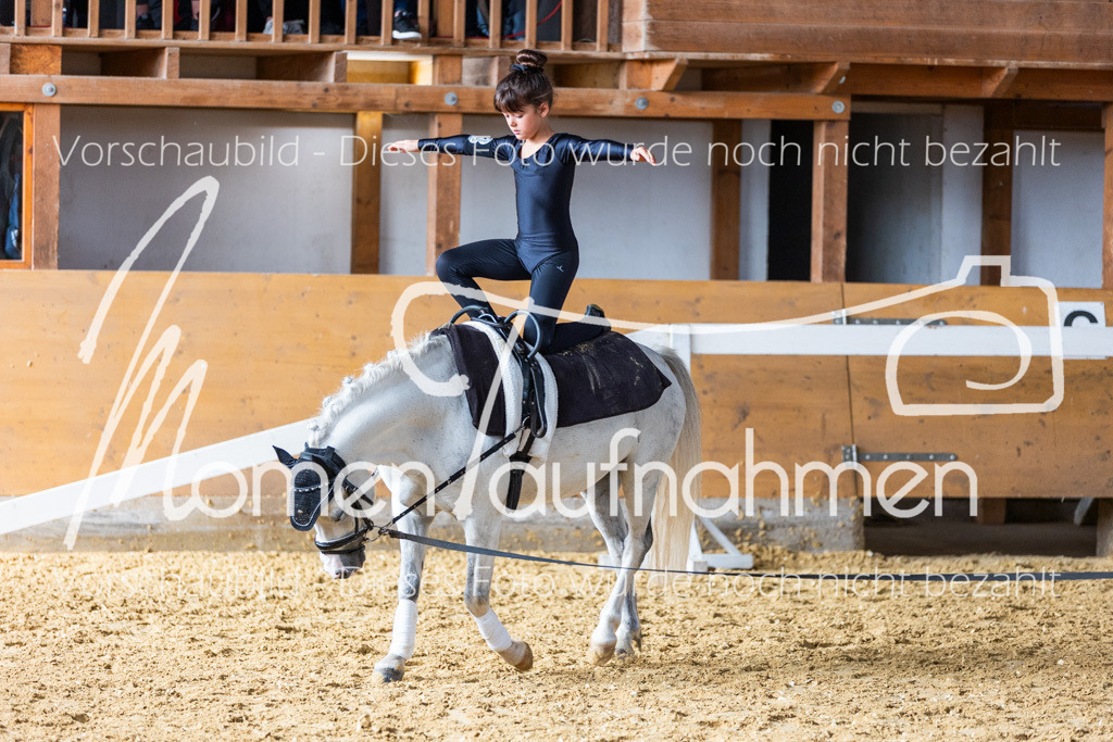 SS-Mini-273 | MomenTaufnahmen Pferdesportfotos