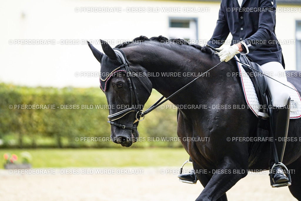 DSC09412 | Pferdegrafie