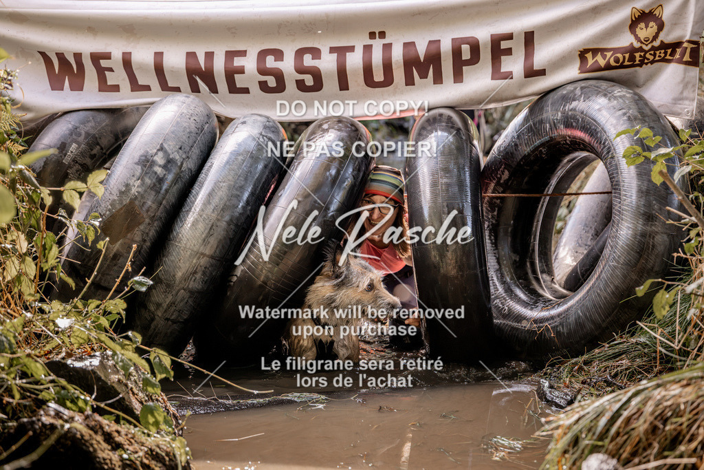 nelerasche_Hunsrück2026_Sa1400-1500_224 | nelerasche