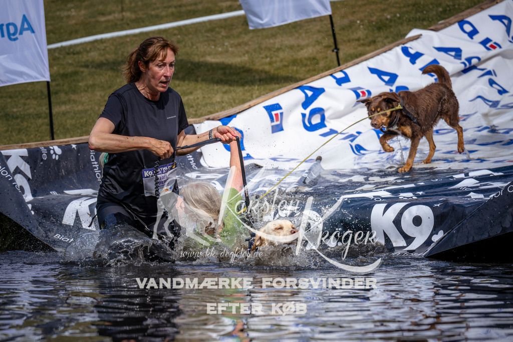 _ZZ906120903 | kk-dogfotos