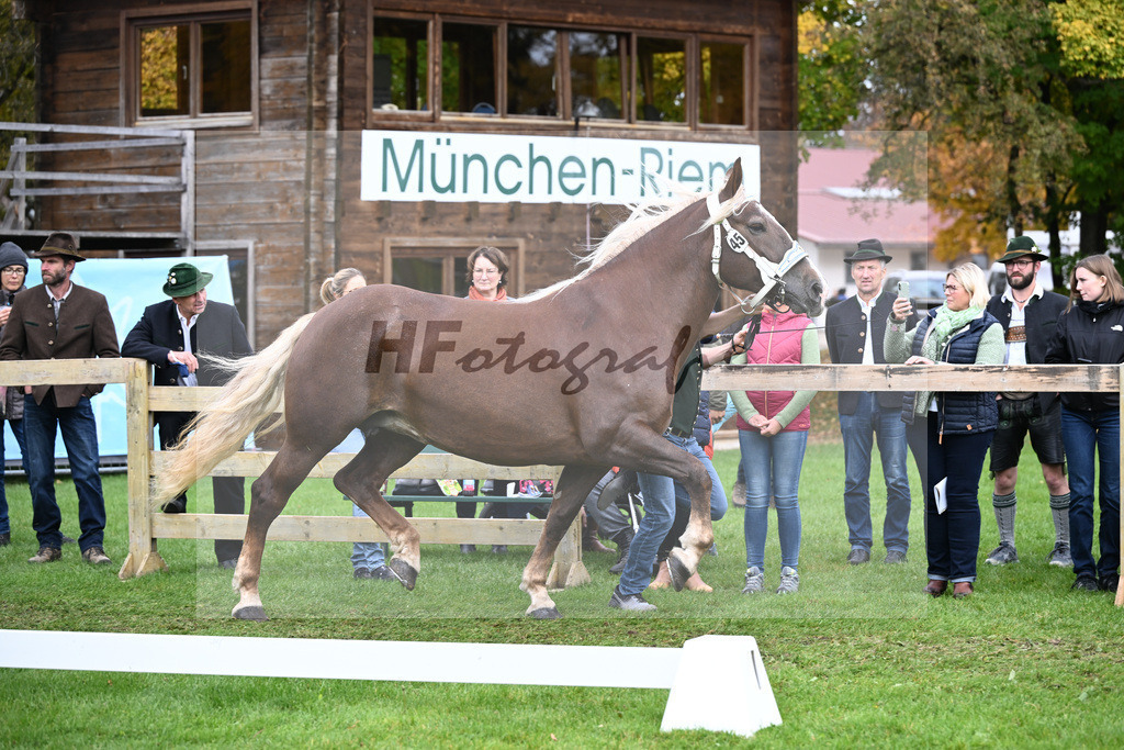 Kat-Nr. 45 Harmonie v. Severin_Vrech_41251097 | hf-fotografie - Realizzato con Pictrs.com