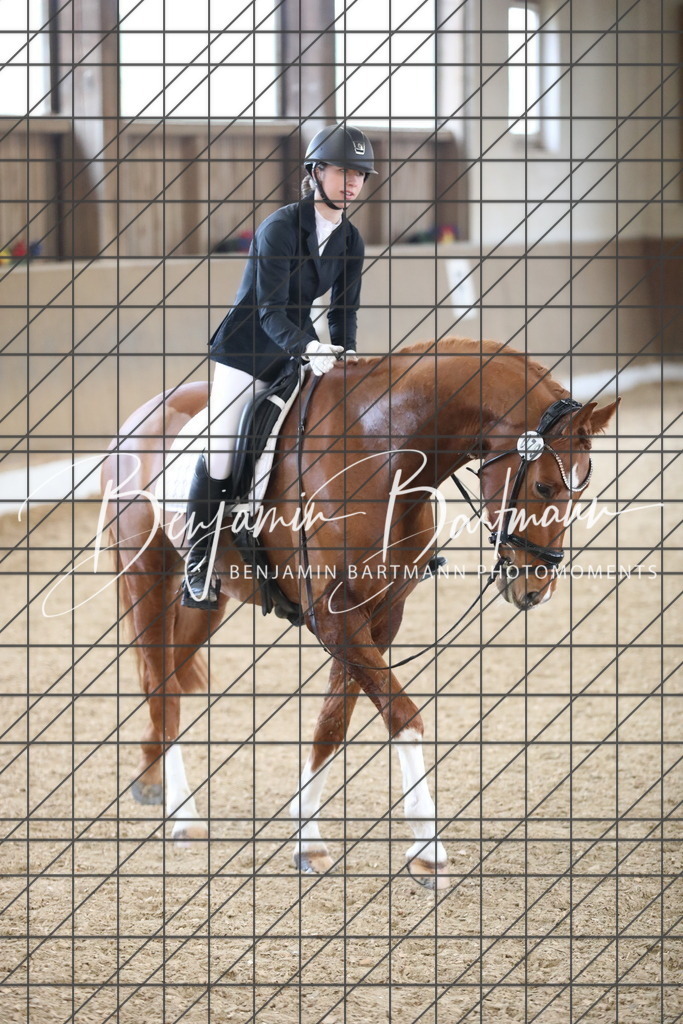 AZ2A0080 | Benjamin Bartmann Photomoments