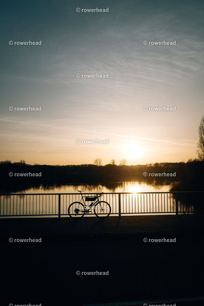 20260226_rowerhead__S0024_DSC06564 | rowerhead - Realisiert mit Pictrs.com