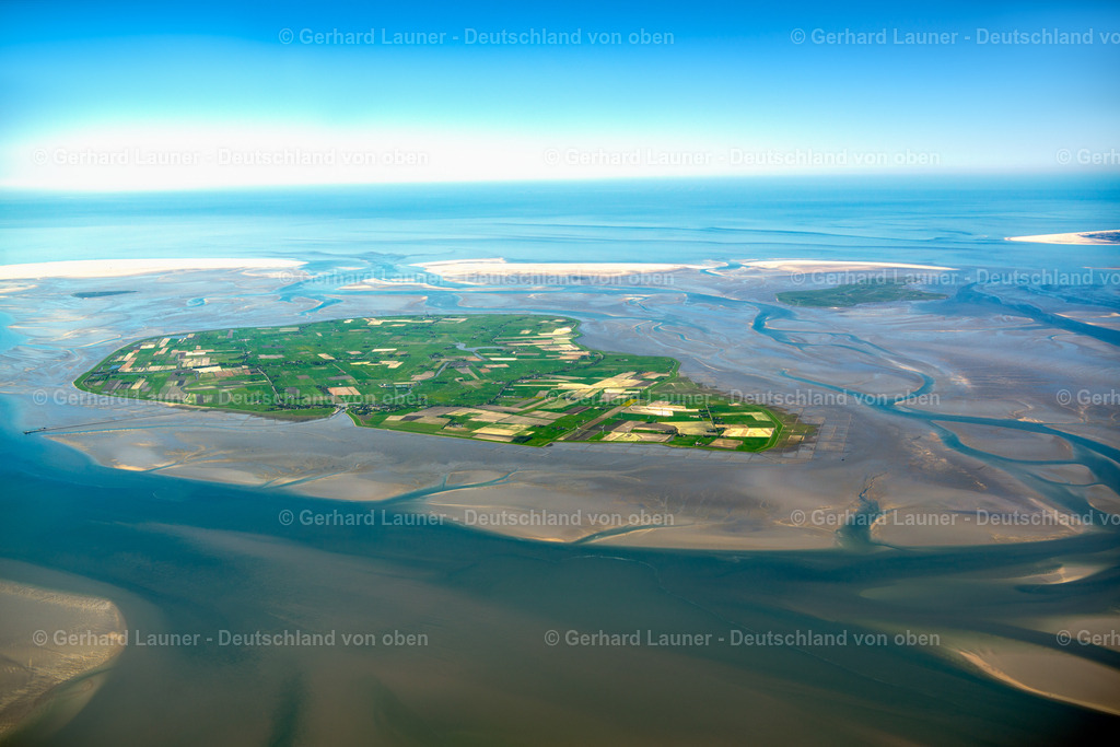 3801619 | Pellworm, Nationalpark Schleswig-Holsteinisches Wattenmeer