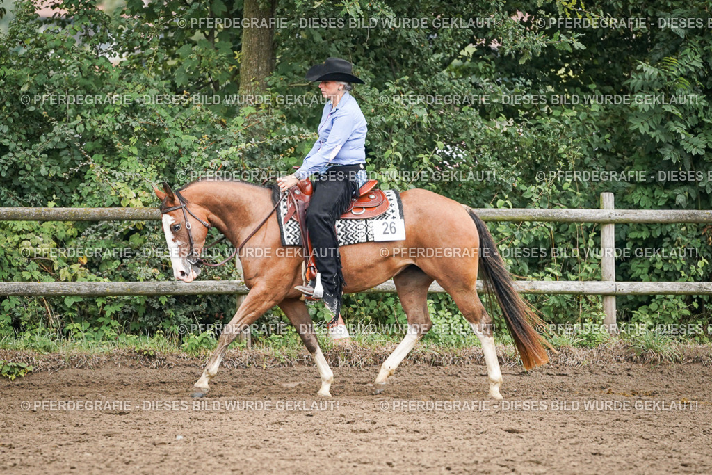 DSC02564 | Pferdegrafie