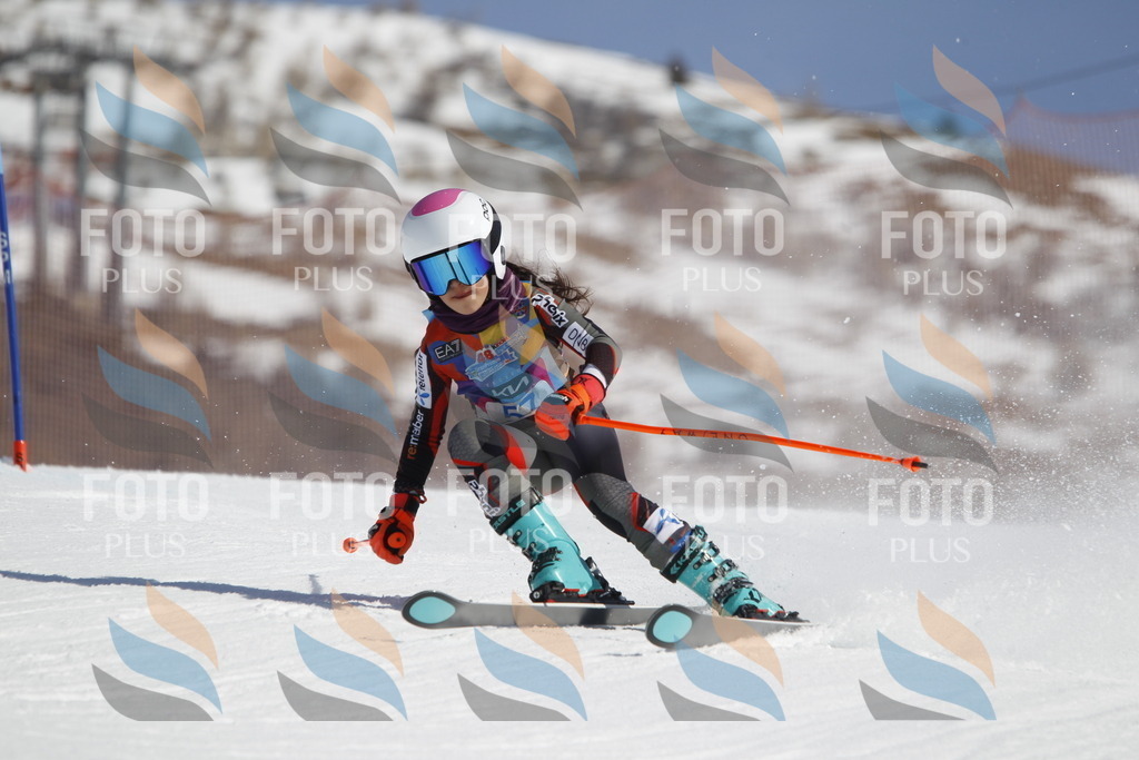 _U3G9540 | holidayphoto