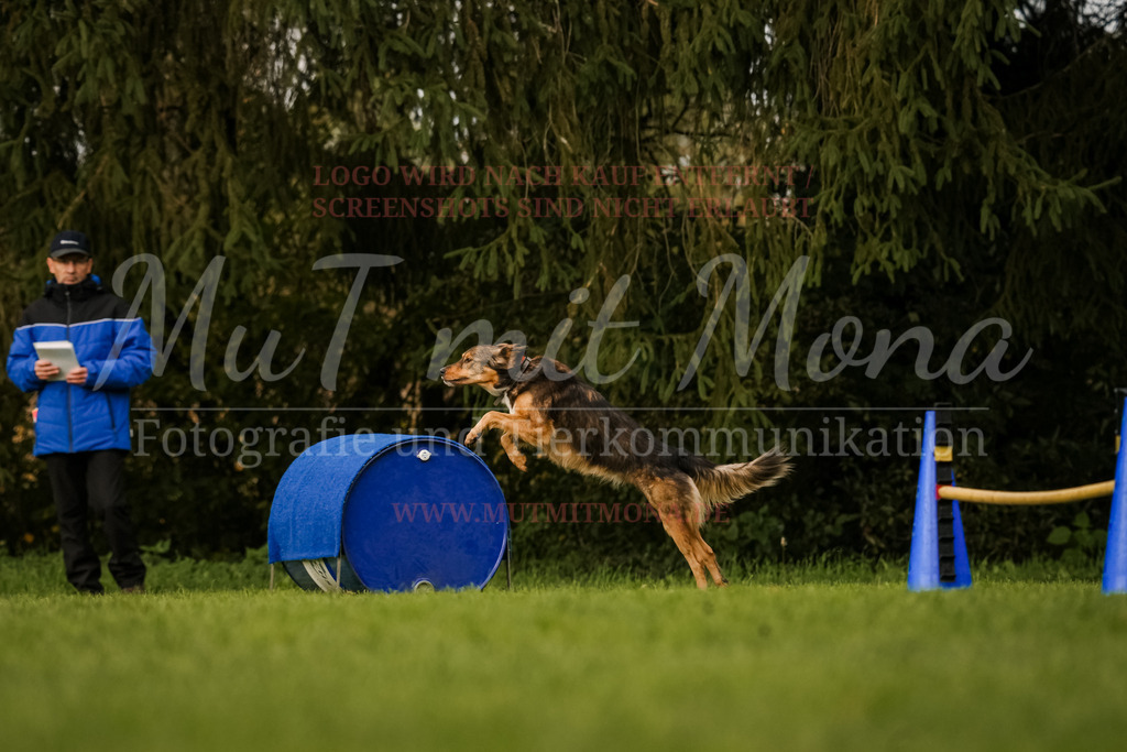 20251005_THS_Turnier-590 | MuT (Mensch und Tier) mit Mona - Fotografie und Tierkommunikation - Realisiert mit Pictrs.com