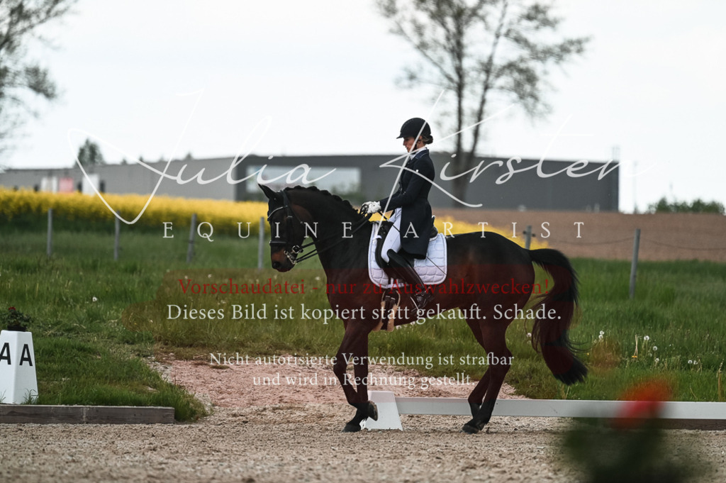 20230514_JK-Röhrsdorf-21-305 | Pferde- und Turnierfotografie in Westsachsen. Pferdeportraits, Auftragszeichnungen und intuitive Kunst.
