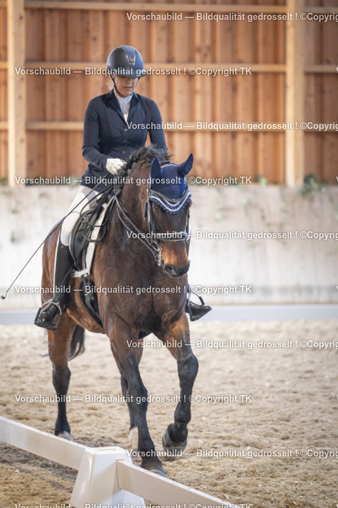 _D5A1761 | Emotionale Pferde- & People-Fotografie rund um Heidelberg, Leimen & Umgebung. Natürliche Fotos von Pferd, Mensch & Familie. Jetzt Termin sichern!