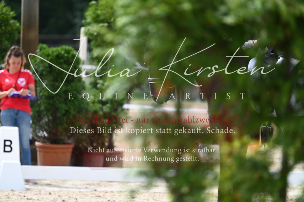 DSC_5187 | Pferde- und Turnierfotografie in Westsachsen. Pferdeportraits, Auftragszeichnungen und intuitive Kunst.