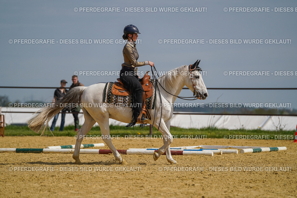 DSC04710 | Pferdegrafie