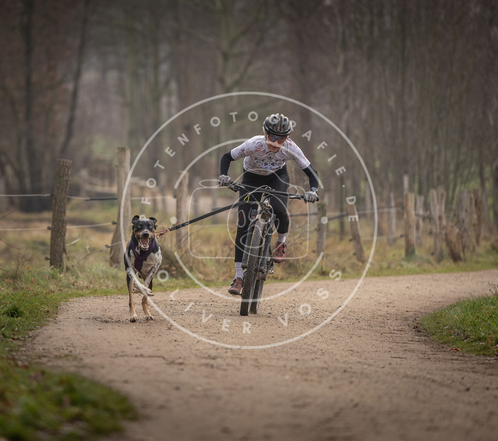 Pfotenfotografie_DV3A1593 | Hundefotografie, Tierfotograf, Pfotenfotografie, Fotoshooting Hund, Hunde Portrait, Hundesport, Hundeportraits, Heideshooting, Hunde, Sportfotograf, Hundefotograf, Turnierhundsport, THS,  - Realisiert mit Pictrs.com