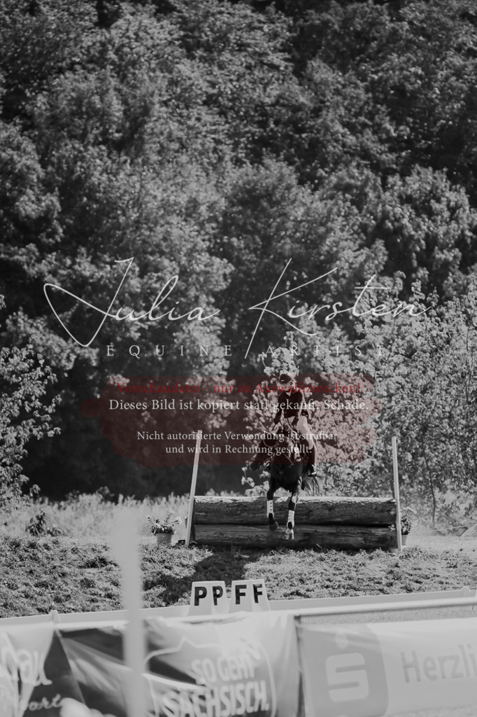DSC_8582 | Pferde- und Turnierfotografie in Westsachsen. Pferdeportraits, Auftragszeichnungen und intuitive Kunst.