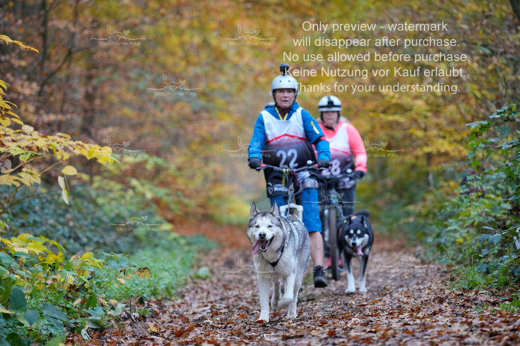 Scooter_So-94 | stephaniefillaphotographie - Realisiert mit Pictrs.com