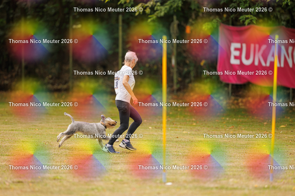Thomas_Nico_Meuter(C)_22. August 2026_223A2574 | Bild von Thomas Nico Meuter - Realisiert mit Pictrs.com
