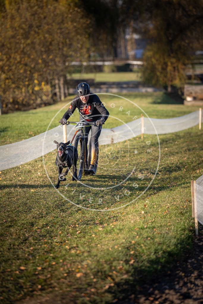 CaniXpix_DV3A0977 | Hundefotografie, Tierfotograf, Pfotenfotografie, Fotoshooting Hund, Hunde Portrait, Hundesport, Hundeportraits, Heideshooting, Hunde, Sportfotograf, Hundefotograf, Turnierhundsport, THS,  - Realisiert mit Pictrs.com