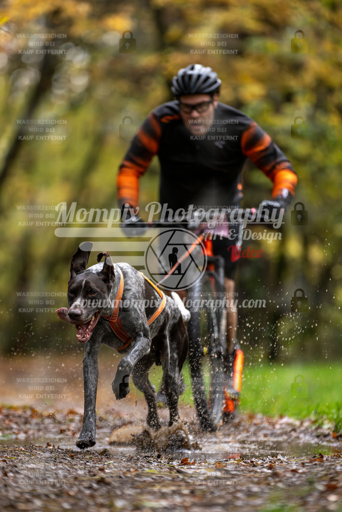 MompixPhotography_Bischwiller23_DS1-3 | PayLife