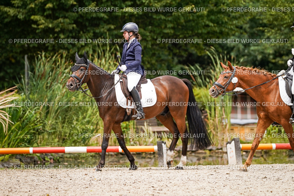 DSC04328 | Pferdegrafie