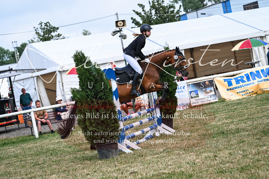 DSC_8467 | Pferde- und Turnierfotografie in Westsachsen. Pferdeportraits, Auftragszeichnungen und intuitive Kunst.