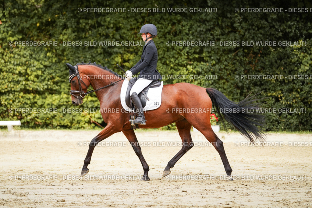 DSC09199 | Pferdegrafie