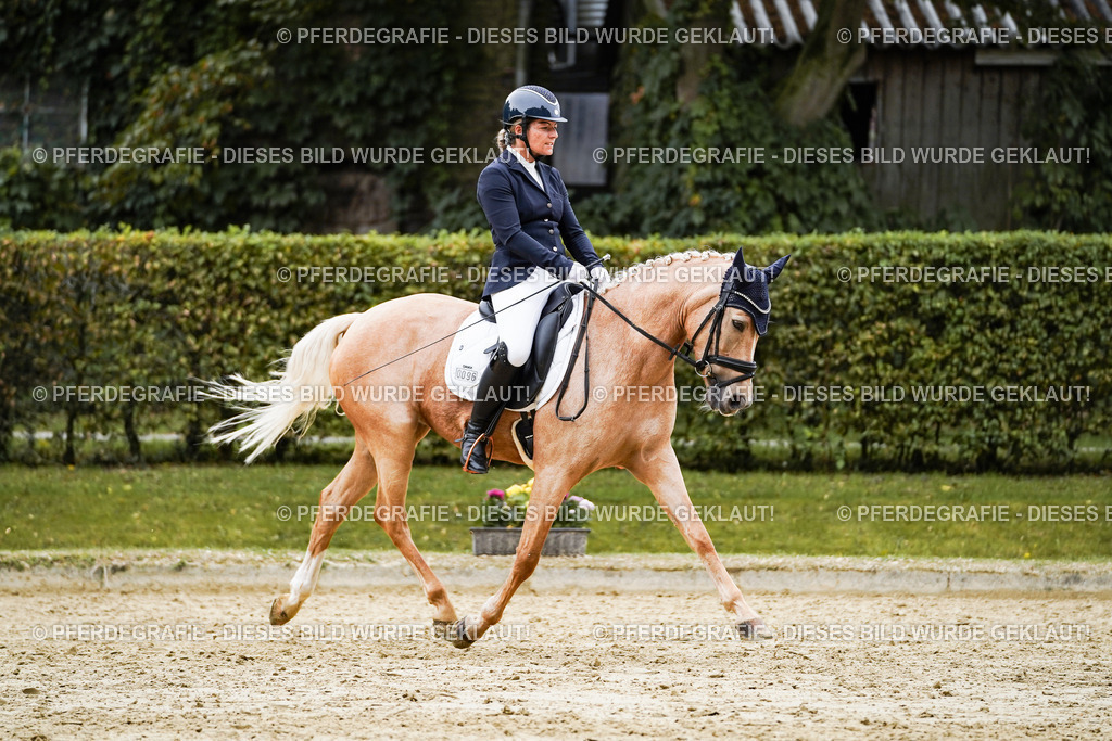 DSC09021 | Pferdegrafie