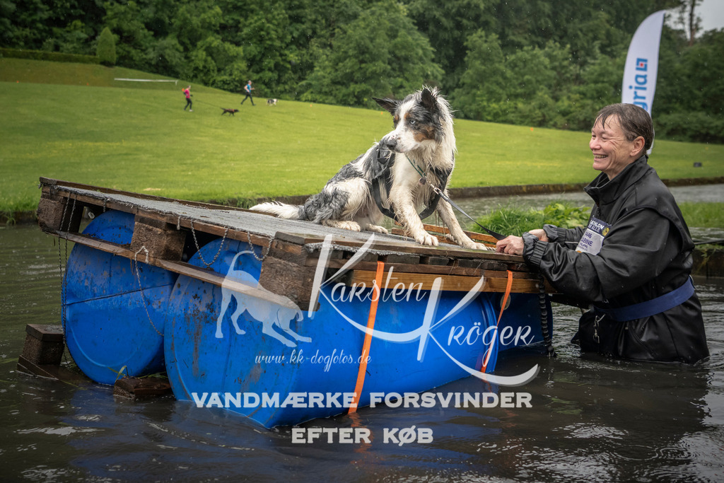 1547_ZZ94784 | kk-dogfotos