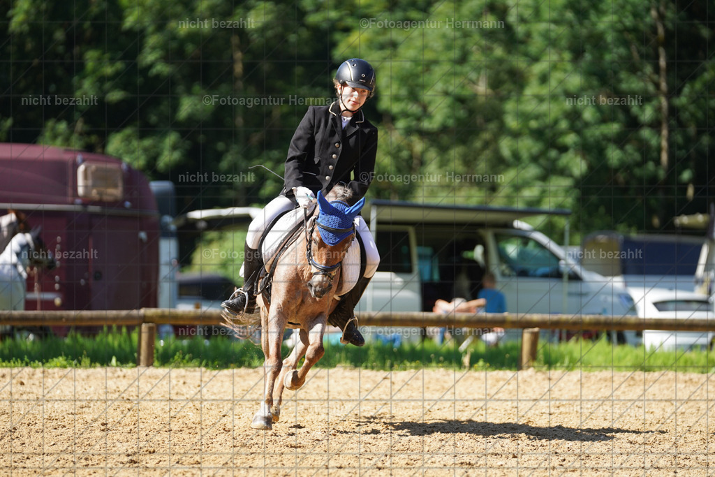 20240706-FAH04756 | Grafing Turnierfotos, Reitverein Ebersberg, Turnierfotografen Bayern, reitsportbilder, Pferdefotograf, reitsportfotograf, Sportbilder, Reitsportfotografie, Fotoagentur Herrmann, Turnierfotograf