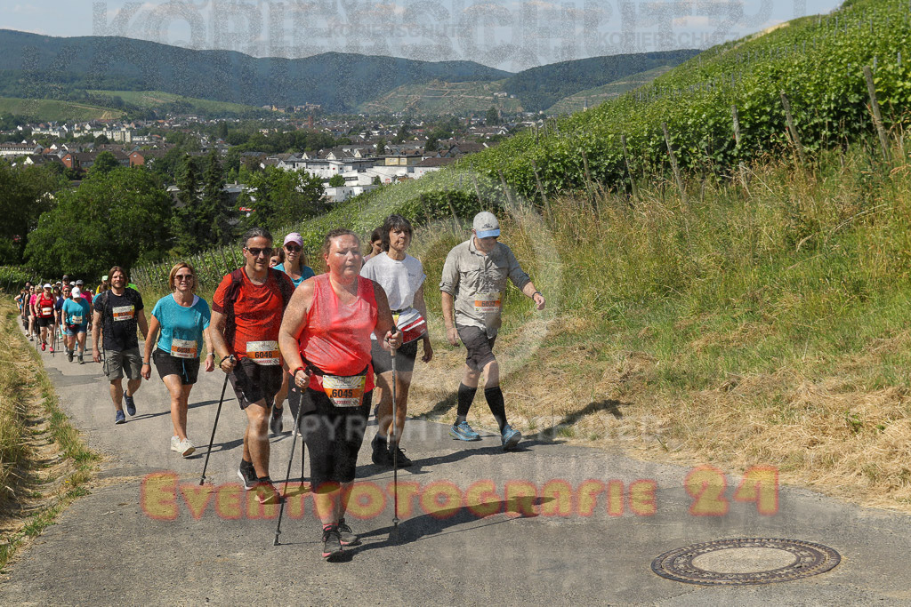 230617_1108_EV9_7683 | Sportfotografie im Rhein-Sieg Kreis, Köln, Bonn, NRW, Rheinland Pfalz, Hessen, etc. Unser Tätigkeitsfeld umfasst den Laufsport vom Volkslauf über den Marathon, Duathlon, Triathon bis zum Ultralauf wie Kölnpfad Ultra oder Schindertrail.