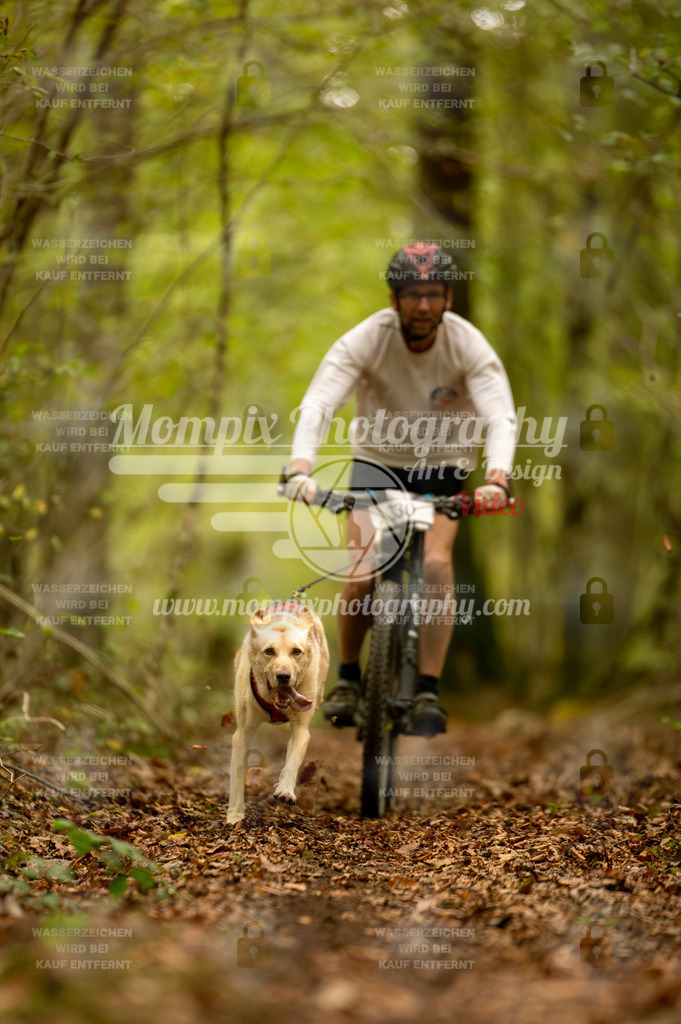 TSB_2023_E1_Bike-93 | PayLife