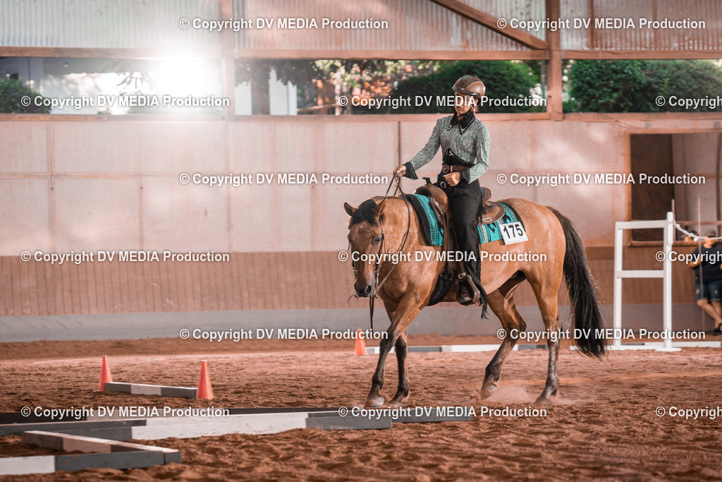 NE300067 | dv-media-shop - Realisiert mit Pictrs.com