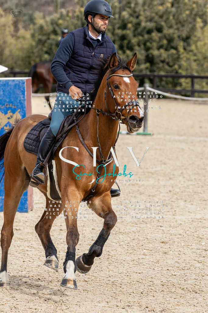 IMG_3772 | s-jay-photography - Realisiert mit Pictrs.com