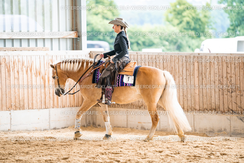 DSC00911 | Pferdegrafie