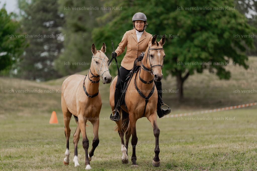 Showprogramm-315 | working equitationturnier fotograf videograf stoibphotography marixx film working equitation deutschland reitsport turnierfotografie eventfotografie equestrian events