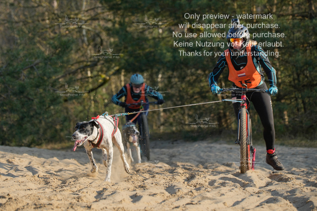 So_Scooter-87 | stephaniefillaphotographie - Realisiert mit Pictrs.com