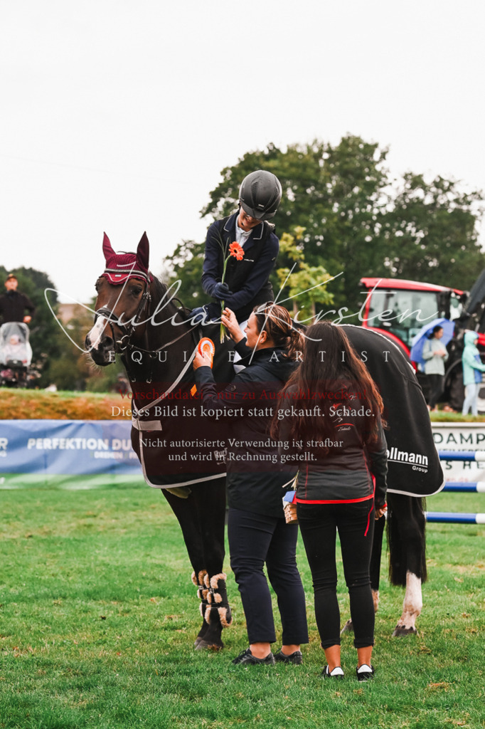 DSC_6664 | Pferde- und Turnierfotografie in Westsachsen. Pferdeportraits, Auftragszeichnungen und intuitive Kunst.