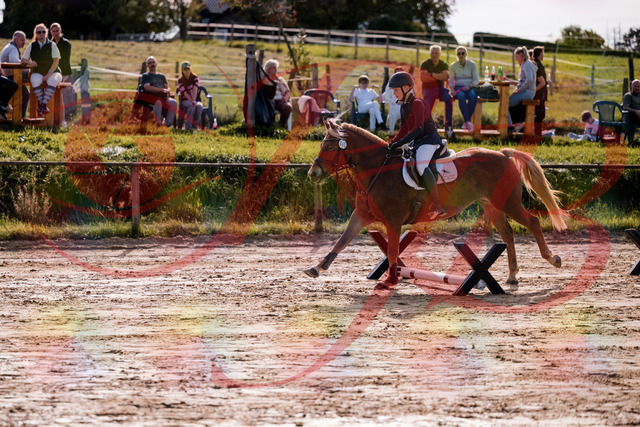 2026_10_03_Siefer-Hof_144705_Z81_23754452 | Professionelle Reitsport-, Turnier- und Eventfotografie von Robert Broda. Galerien mit ausgewählten und bearbeiteten Bildern direkt online ansehen und bestellen.