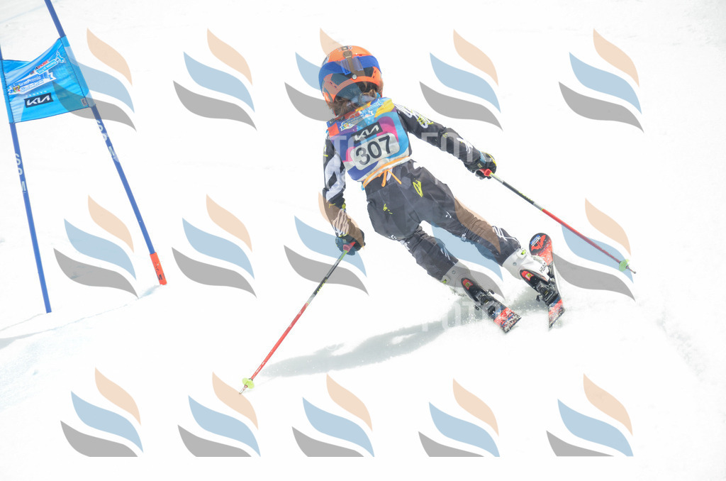 _ELE8350 | holidayphoto