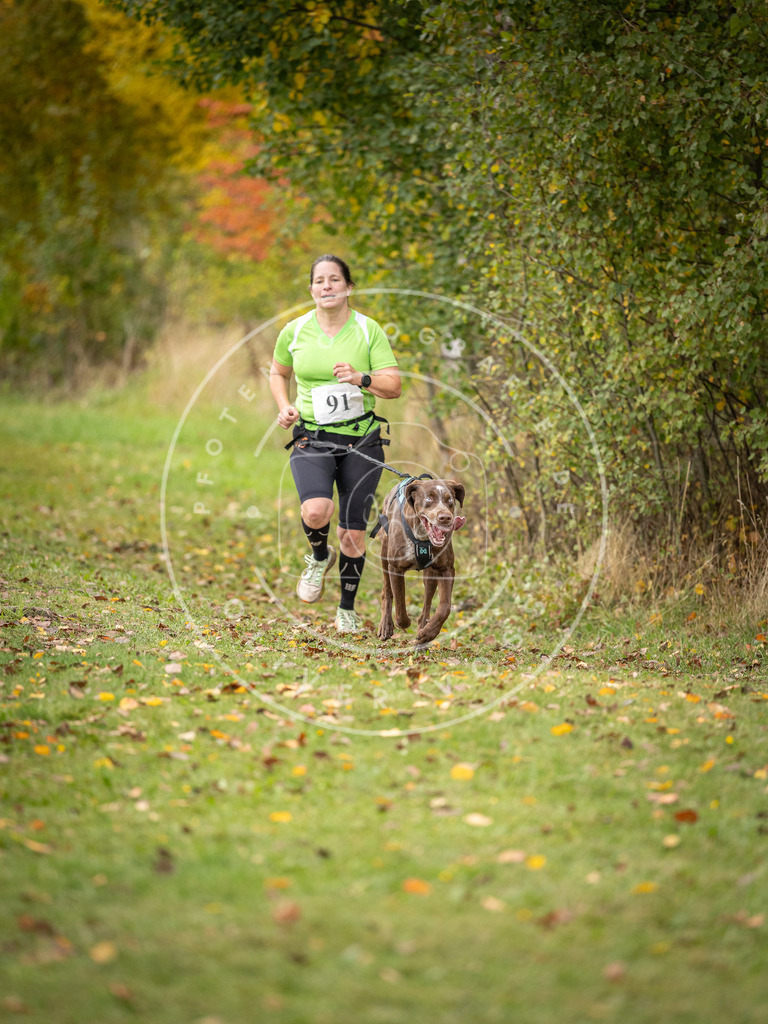 Pfotenfotografie_DV3A3264 | Hundefotografie, Tierfotograf, Pfotenfotografie, Fotoshooting Hund, Hunde Portrait, Hundesport, Hundeportraits, Heideshooting, Hunde, Sportfotograf, Hundefotograf, Turnierhundsport, THS,  - Realisiert mit Pictrs.com