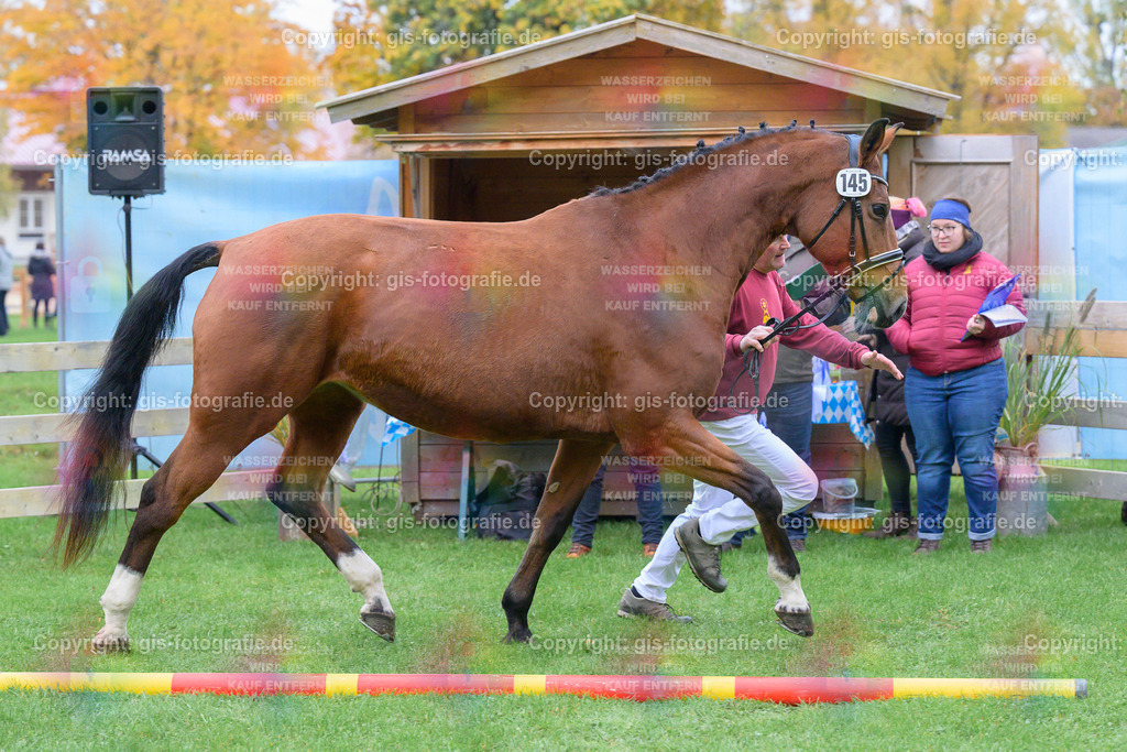 145_Fanni_v.Johnson_Wagner_251018_06_gis | gis-fotografie