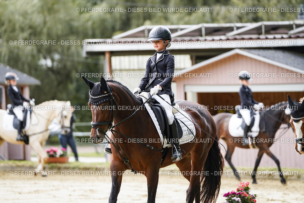 DSC05282 | Pferdegrafie