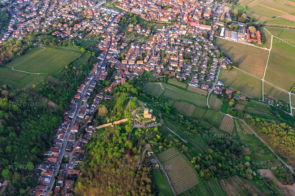 Luftbild: Stadtansicht aus Südosten mit Wachtenburg (Ruine Burg Wachenheim) umgeben von Rebzeilen in Wachenheim an der Weinstraße im Bundesland Rheinland-Pfalz in Deutschland. Foto: IMG_106743.jpg vom 21.04.2018 durch Werner Riehm/FLY-FOTO.de