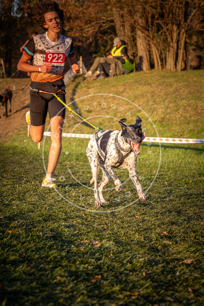 CaniXpix_0L8A1638 | Hundefotografie, Tierfotograf, Pfotenfotografie, Fotoshooting Hund, Hunde Portrait, Hundesport, Hundeportraits, Heideshooting, Hunde, Sportfotograf, Hundefotograf, Turnierhundsport, THS,  - Realisiert mit Pictrs.com