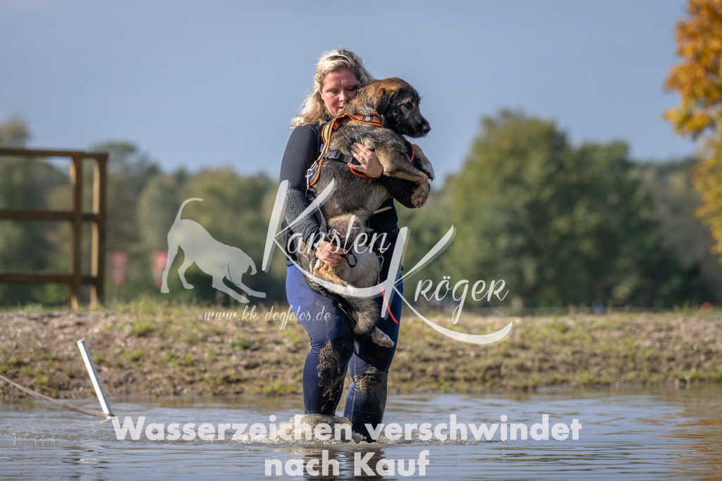 1144_ZZ93819 | kk-dogfotos