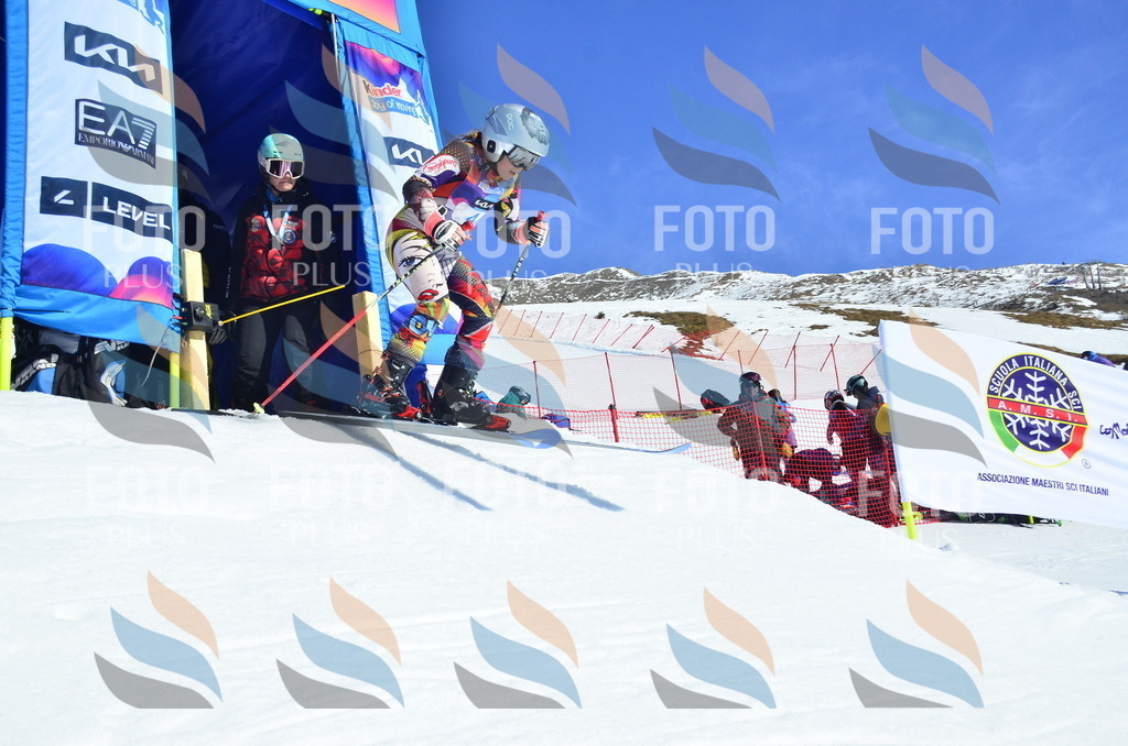 _ELE9722 | holidayphoto