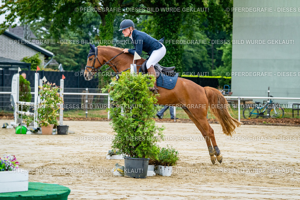 DSC01734 | Pferdegrafie