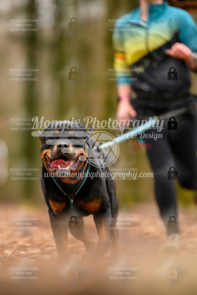 MompixPhotography_Habay2024_SA_Fun-80 | mompixphotography