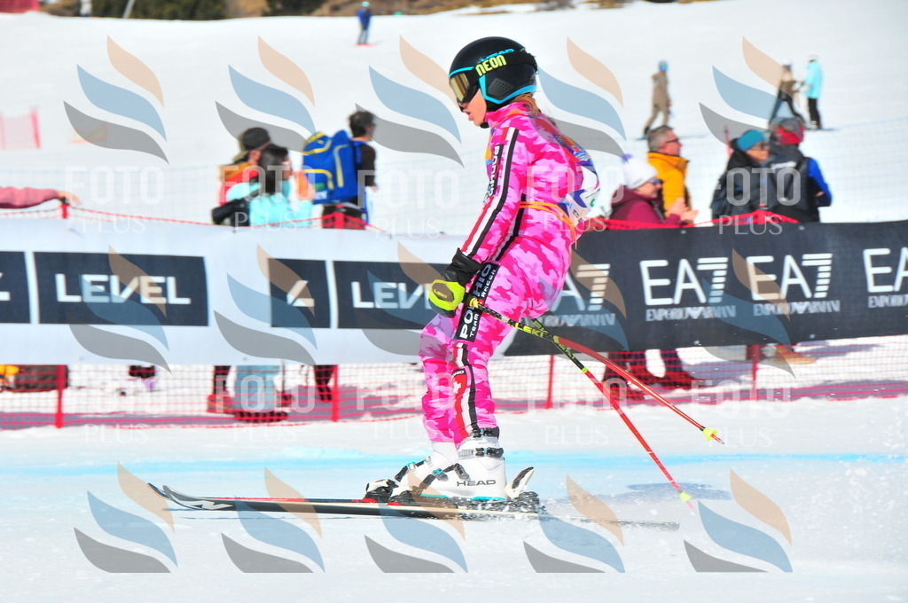 DSC_1155 | holidayphoto