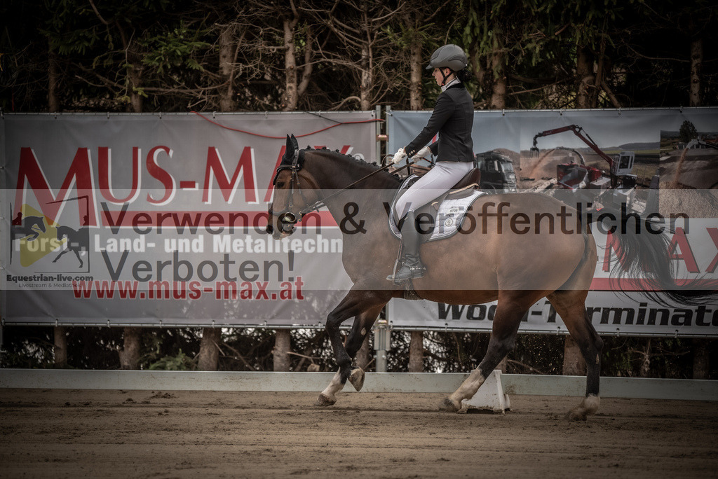 DSC_8151 | equestrian-live-com