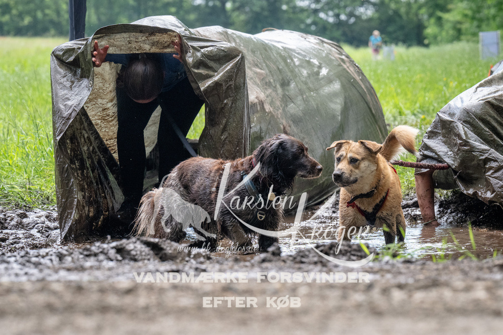 1109_ZZ91587 | kk-dogfotos