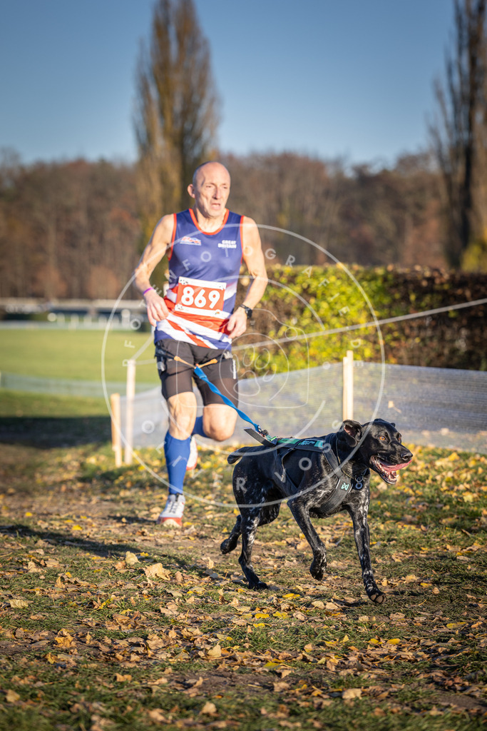 CaniXpix_DV3A4149 | Hundefotografie, Tierfotograf, Pfotenfotografie, Fotoshooting Hund, Hunde Portrait, Hundesport, Hundeportraits, Heideshooting, Hunde, Sportfotograf, Hundefotograf, Turnierhundsport, THS,  - Realisiert mit Pictrs.com